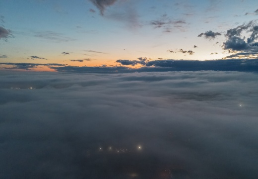 Above the Fog