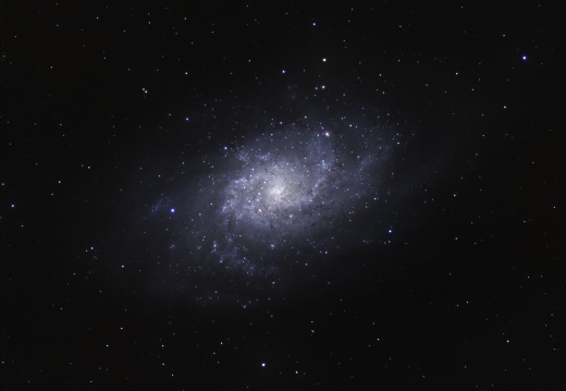 M33 - The Triangulum Galaxy