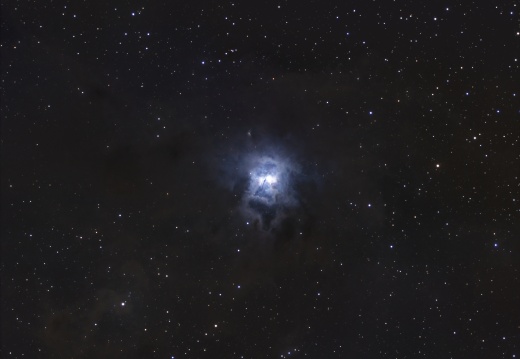 NGC7023 - The Iris Nebula